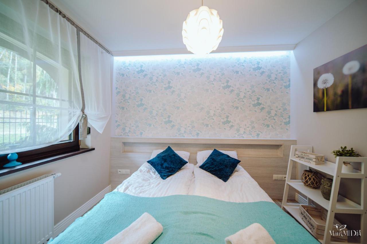 Dolina Wikingow Apartament Heddal 02 Шклярска-Поремба Экстерьер фото